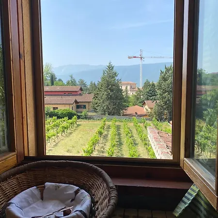 Orchidea Retreat - View Of Mountains & Vines Apartman