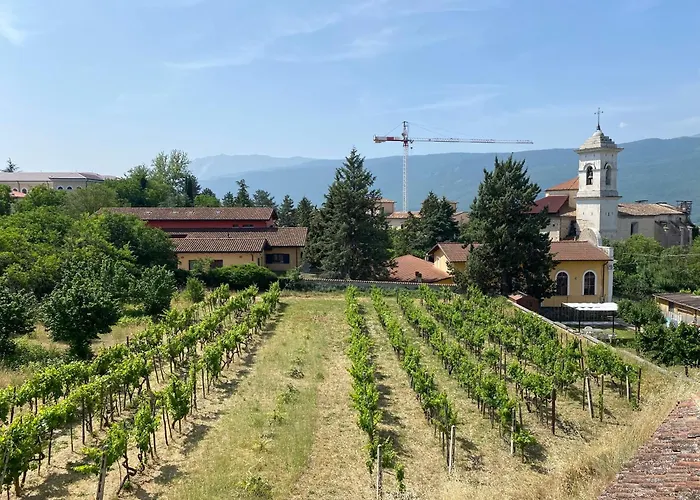 Apartman Orchidea Retreat - View Of Mountains & Vines